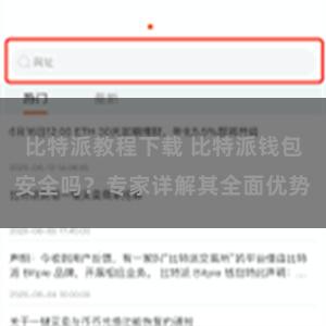 比特派教程下载 比特派钱包安全吗？专家详解其全面优势