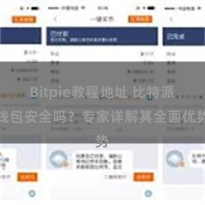 Bitpie教程地址 比特派钱包安全吗？专家详解其全面优势