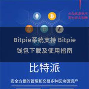 Bitpie系统支持 Bitpie钱包下载及使用指南