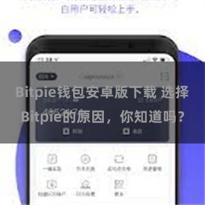 Bitpie钱包安卓版下载 选择Bitpie的原因，你知道吗？