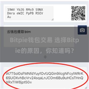 Bitpie钱包交易 选择Bitpie的原因，你知道吗？