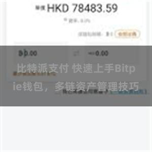 比特派支付 快速上手Bitpie钱包，多链资产管理技巧