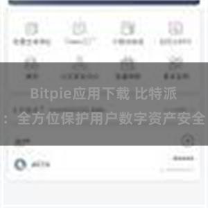 Bitpie应用下载 比特派：全方位保护用户数字资产安全