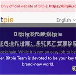 Bitpie多币种 Bitpie钱包操作指南：多链资产管理攻略