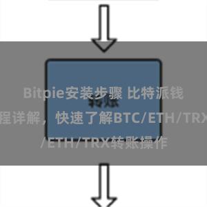 Bitpie安装步骤 比特派钱包转账教程详解，快速了解BTC/ETH/TRX转账操作