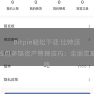 Bitpie轻松下载 比特派钱包多链资产管理技巧：全面攻略