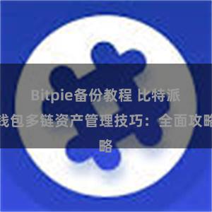 Bitpie备份教程 比特派钱包多链资产管理技巧：全面攻略