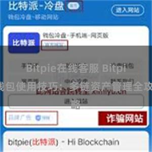 Bitpie在线客服 Bitpie钱包使用技巧：多链资产管理全攻略