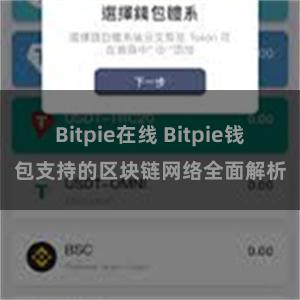 Bitpie在线 Bitpie钱包支持的区块链网络全面解析