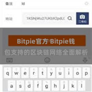 Bitpie官方 Bitpie钱包支持的区块链网络全面解析