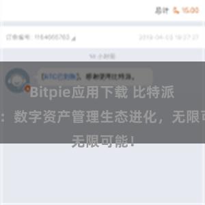 Bitpie应用下载 比特派钱包：数字资产管理生态进化，无限可能！