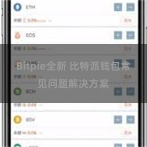 Bitpie全新 比特派钱包常见问题解决方案