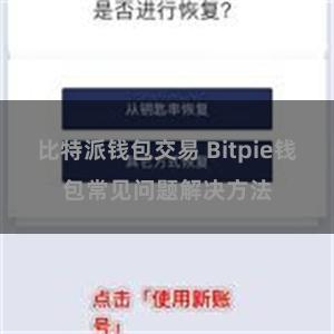 比特派钱包交易 Bitpie钱包常见问题解决方法