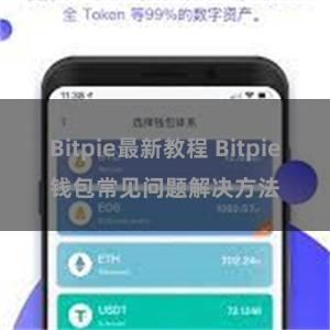 Bitpie最新教程 Bitpie钱包常见问题解决方法