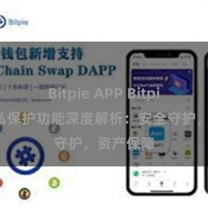 Bitpie APP Bitpie钱包隐私保护功能深度解析：安全守护，资产保障