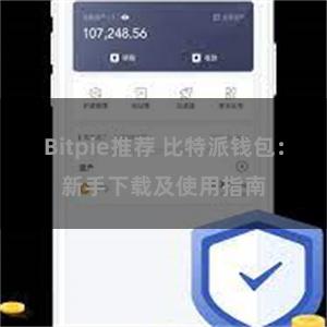 Bitpie推荐 比特派钱包：新手下载及使用指南