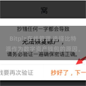 Bitpie在线管理 选择比特派作为数字资产钱包的原因。