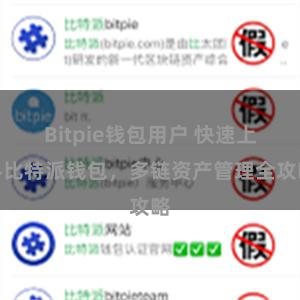 Bitpie钱包用户 快速上手比特派钱包，多链资产管理全攻略