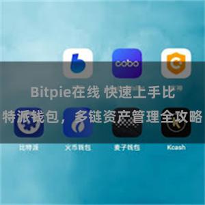 Bitpie在线 快速上手比特派钱包，多链资产管理全攻略