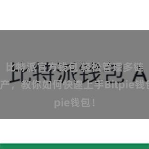 比特派官方钱包 轻松管理多链资产，教你如何快速上手Bitpie钱包！