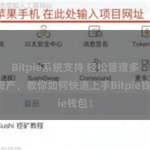 Bitpie系统支持 轻松管理多链资产，教你如何快速上手Bitpie钱包！