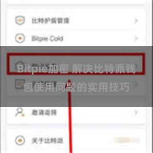 Bitpie加密 解决比特派钱包使用问题的实用技巧