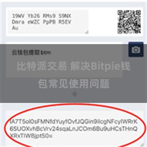 比特派交易 解决Bitpie钱包常见使用问题