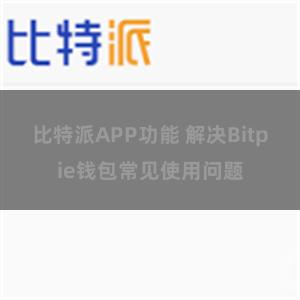 比特派APP功能 解决Bitpie钱包常见使用问题