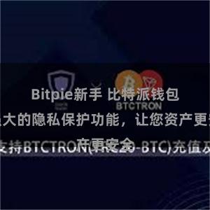 Bitpie新手 比特派钱包：强大的隐私保护功能，让您资产更安全