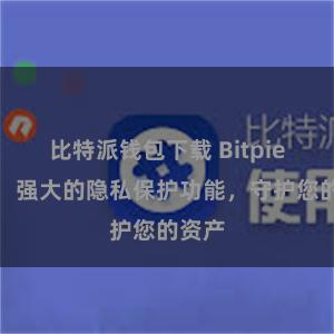 比特派钱包下载 Bitpie钱包：强大的隐私保护功能，守护您的资产