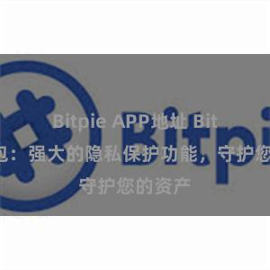 Bitpie APP地址 Bitpie钱包：强大的隐私保护功能，守护您的资产