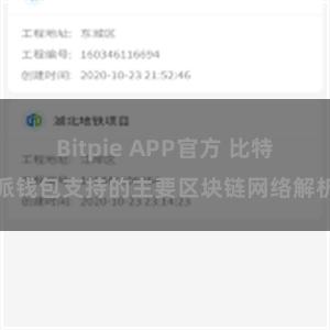 Bitpie APP官方 比特派钱包支持的主要区块链网络解析