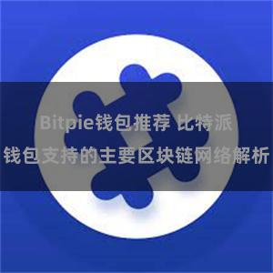 Bitpie钱包推荐 比特派钱包支持的主要区块链网络解析