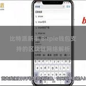 比特派新手 Bitpie钱包支持的区块链网络解析