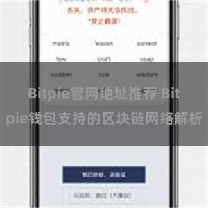 Bitpie官网地址推荐 Bitpie钱包支持的区块链网络解析