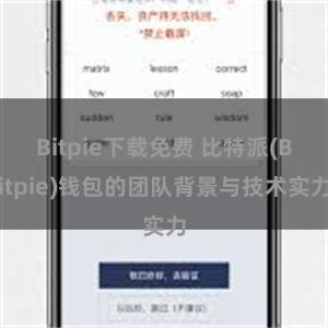 Bitpie下载免费 比特派(Bitpie)钱包的团队背景与技术实力