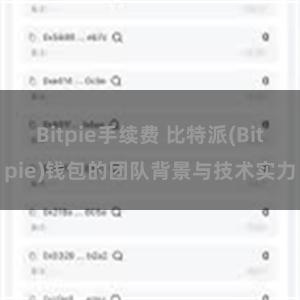 Bitpie手续费 比特派(Bitpie)钱包的团队背景与技术实力