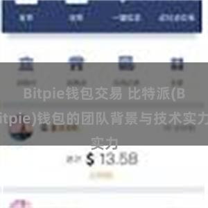 Bitpie钱包交易 比特派(Bitpie)钱包的团队背景与技术实力