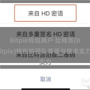 Bitpie钱包用户 比特派(Bitpie)钱包的团队背景与技术实力