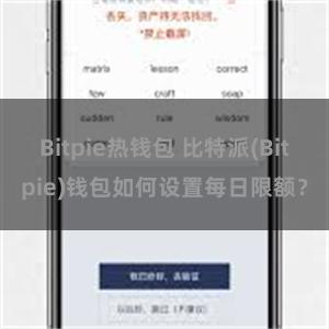 Bitpie热钱包 比特派(Bitpie)钱包如何设置每日限额？