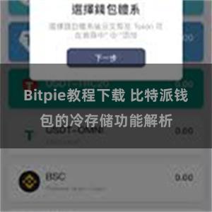 Bitpie教程下载 比特派钱包的冷存储功能解析