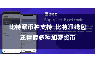 比特派币种支持  比特派钱包还撑握多种加密货币