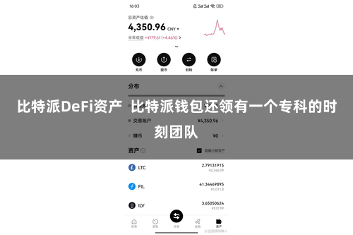 比特派DeFi资产  比特派钱包还领有一个专科的时刻团队